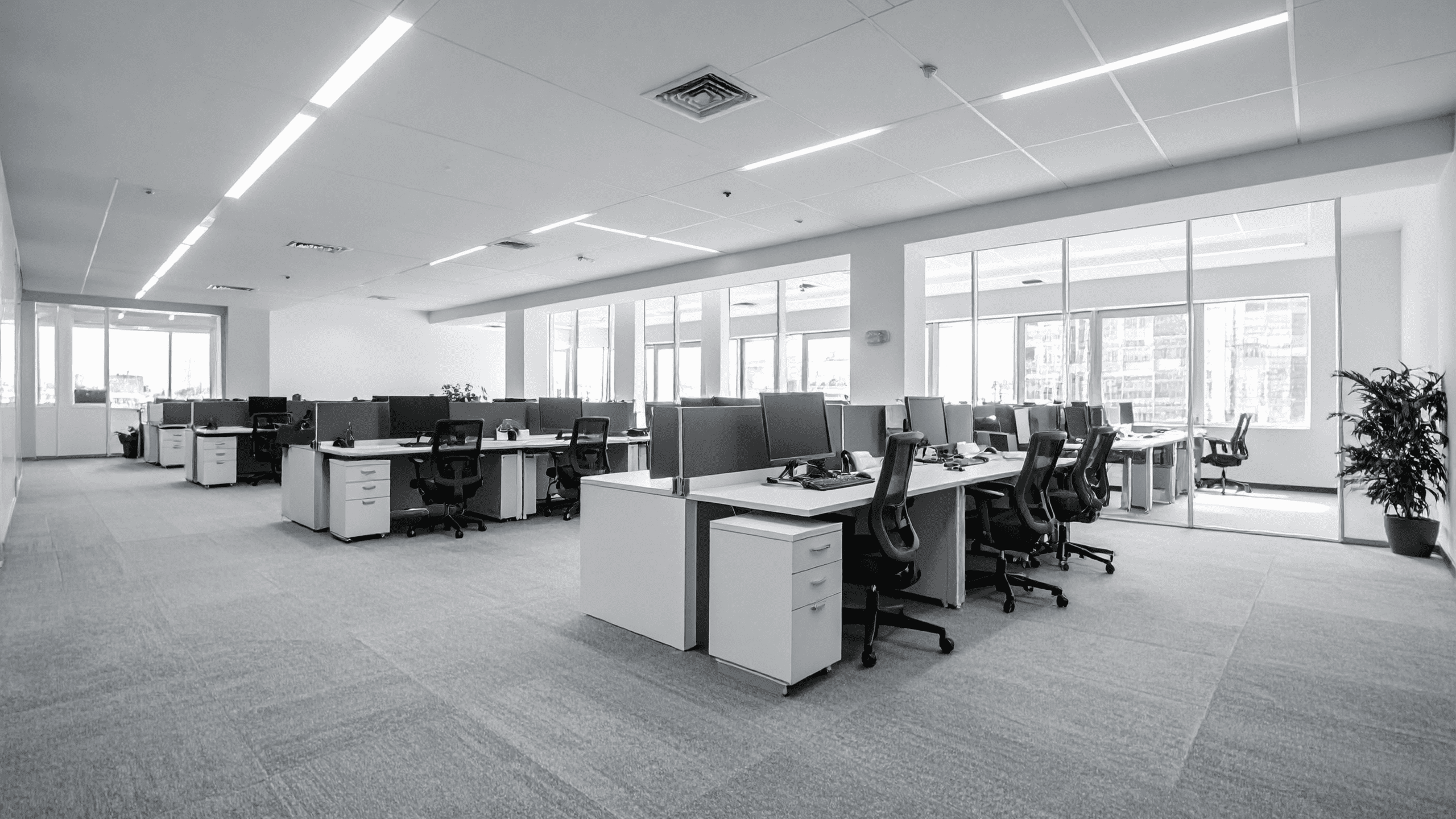 Corporate Cleaning Costs Auckland: What Businesses Should Expect (2026)