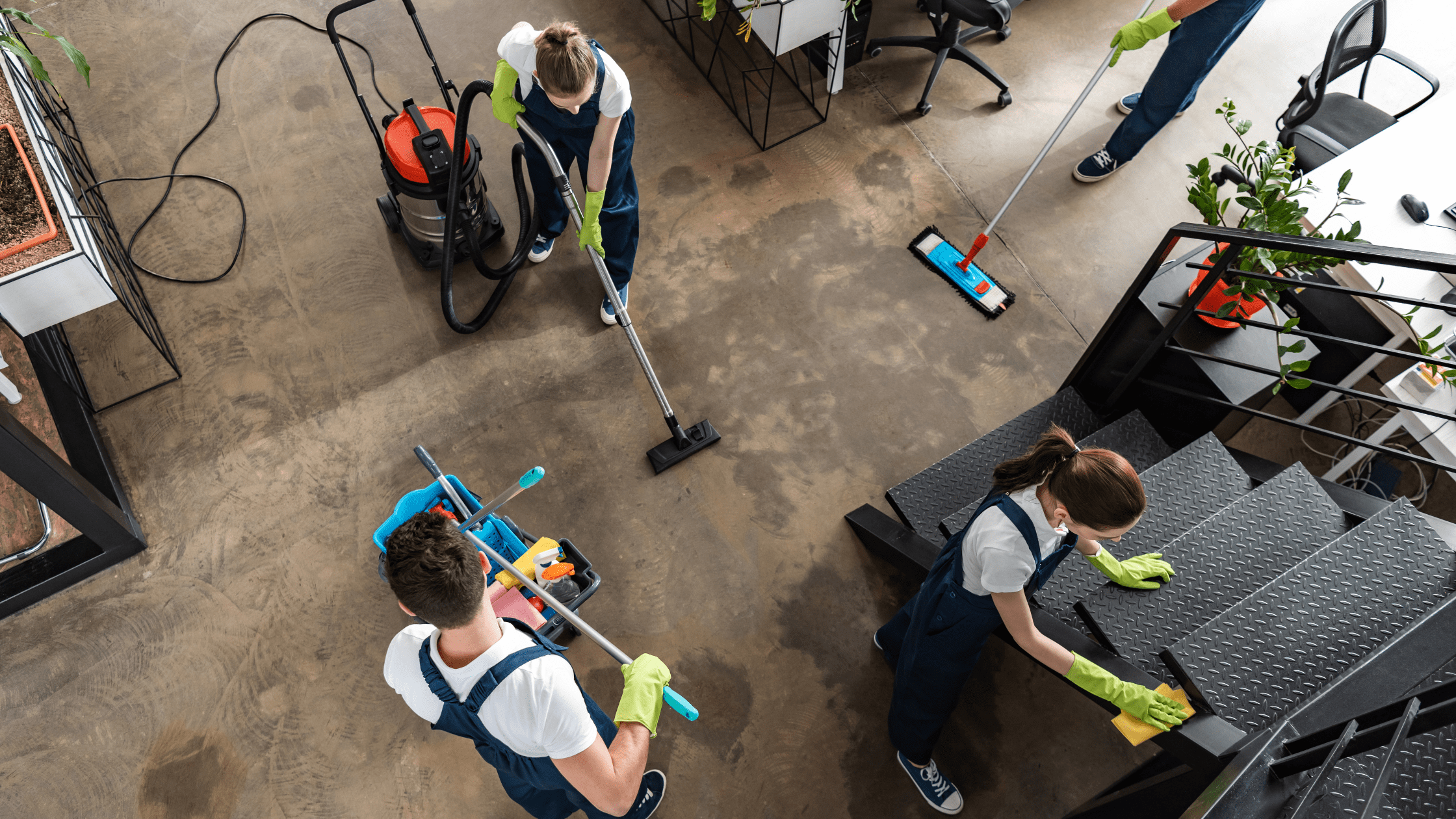 How Much Does Commercial Cleaning Cost in Auckland?
